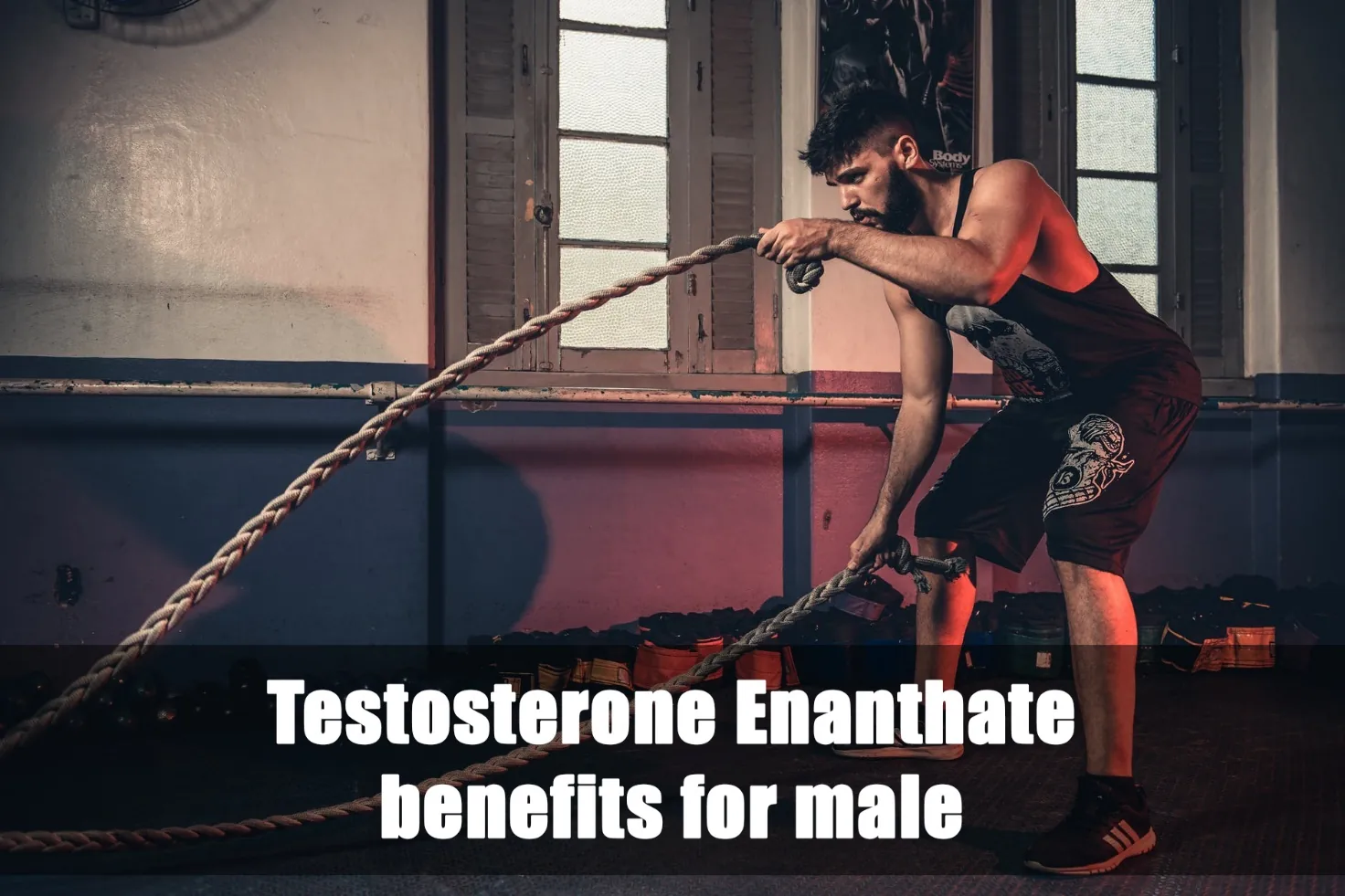 Testosterone Enanthate per i maschi