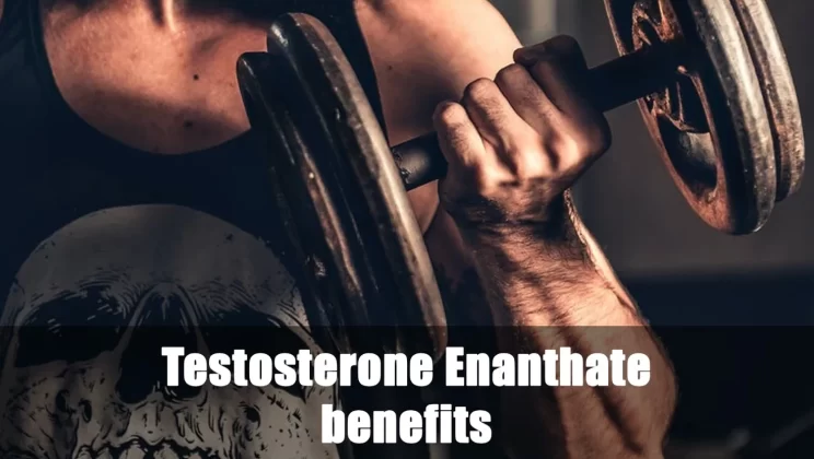 Tutti I Benefici Del Testosterone Enantato