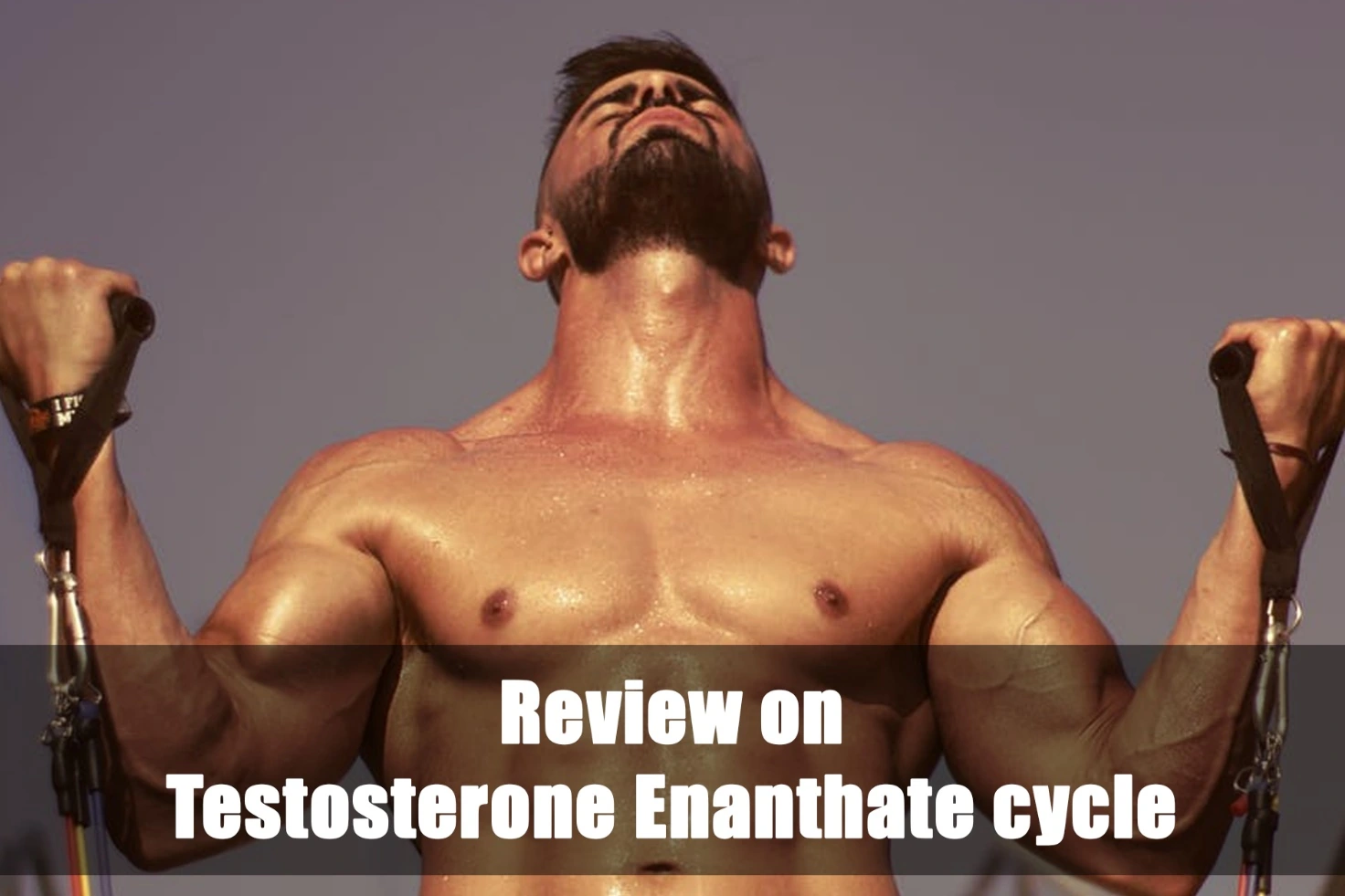 Revisione del ciclo di testosterone enantato