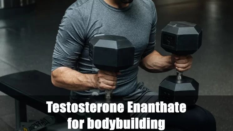 Perché Dovresti Scegliere IL Testosterone Enantato per IL Bodybuilding