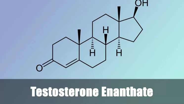 Testosterone Enantato in Vendita: Pro E Contro E Come Acquistarlo